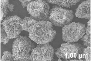 钛酸锂分级结构微球的制备方法及其应用