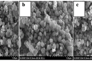 淀粉改性包覆磷酸铁制备锂离子电池正极材料的方法