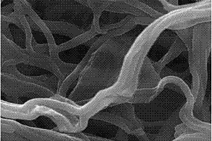石墨烯复合过渡金属氧化物纳米纤维锂离子电池电极材料及其制备方法