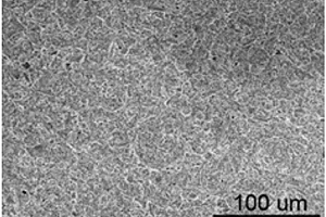锂离子电池用硅藻土隔膜及其制备方法