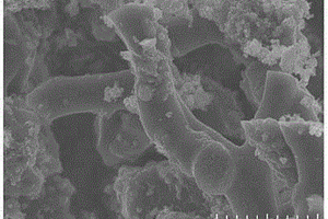 硅/碳纳米线负载二氧化钛锂电池负极材料的制备方法