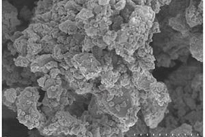 碳硅包覆二氧化锡复合物及其制备方法与作为锂离子电池负极材料的应用