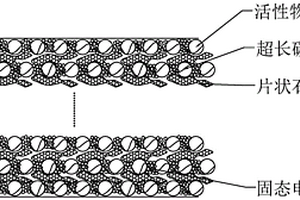 自支撑电极及其制备方法和带有该电极的混合固液电解质锂蓄电池