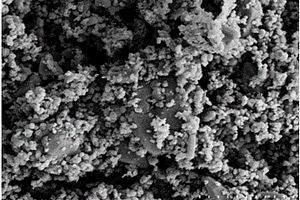用于锂离子电池的碳包覆掺钴氧化锌纳米材料