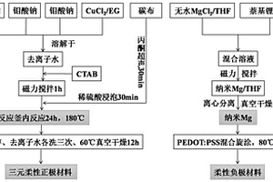 用于高性能镁锂双盐离子电池的柔性正负极材料及其制备方法