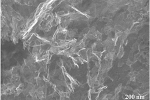 高性能钴颗粒修饰的氮载碳纳米片锂氧气电池正极催化剂材料及其制备方法