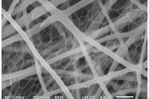 金属锡和碳纳米管共掺杂的锂硫电池中间层材料及制备方法和应用