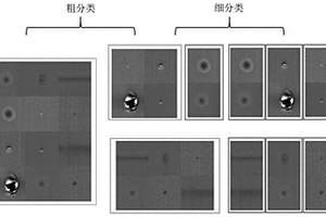 锂电池电极表面缺陷的分类方法