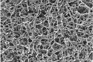 纤维素基凝胶聚合物电解质及其制备方法和含该电解质的锂离子电池