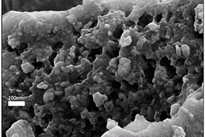 果皮炭化复合锂硫电池正极材料及其制备方法