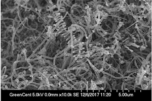 柔性纤维状锂二氧化碳电池正极材料及制备方法