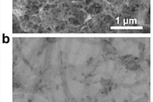 硫化物量子点掺杂的高性能锂硫电池及其制备方法