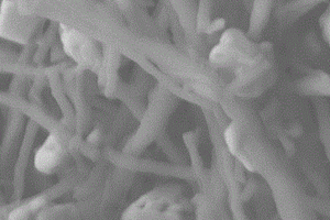 锂离子电池负极材料的套环状氧化物修饰碳纳米纤维