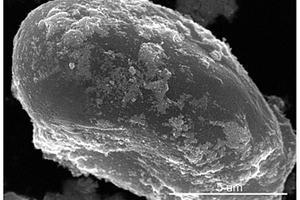 锂离子电池氮掺杂碳硅负极材料的制备方法