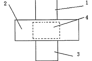 具有短路保护功能的软包装锂离子电池极耳