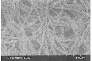 锂硫电池正极材料用多孔碳纳米纤维膜及其制备方法