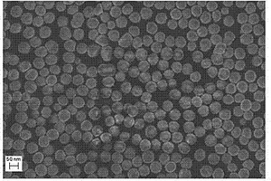 锂电池电极材料α-Fe<sub>2</sub>O<sub>3</sub>纳米球的制备方法