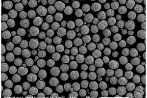 梯度掺杂球形核壳钴酸锂材料、其前驱体以及两者的制备方法