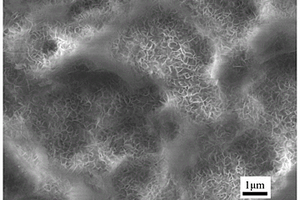在铝合金多孔氧化膜表面制备超疏水锂铝类水滑石涂层的方法