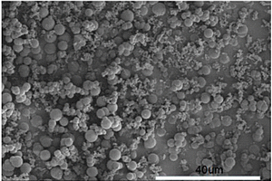 基于壳聚糖的锂离子电池球形炭负极的制备方法