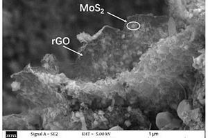 用于锂离子电池负极的还原氧化石墨烯包覆二硫化钼复合材料及其制备方法