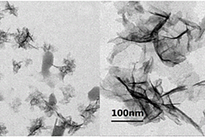 锂电池用三维网络石墨烯及其制备方法