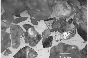 硫脲氯铁锂正极单晶材料及其制备方法与应用