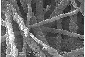 制备掺铽四氟钇锂纳米纤维的方法