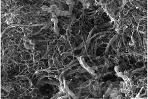 碳纳米管导电浆料及其制备方法和锂离子电池