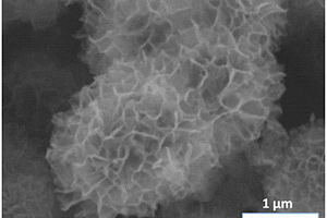 花状四氧化三钴/石墨烯中空微球锂离子电池负极材料及其制备方法