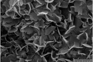 石墨烯多级孔碳材料及其制备方法和锂离子电池