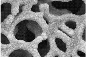 锂电池用负载硅生物基氮掺杂多孔碳负极材料及其制备方法