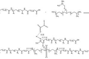 聚合物基体、电解质及其制备方法、电池极片、锂离子电池