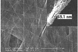 制备铒镱双掺四氟钇锂上转换发光纳米带的方法