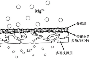 含多酚/PEI中间层的高镁锂选择性纳滤膜及制备方法
