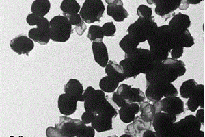 锂硫电池正极用硫/二氧化硅核壳纳米结构的制备方法