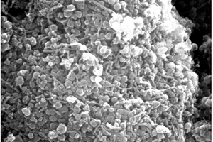 锂硫电池用ZIF颗粒和碳纳米管共修饰的隔膜材料