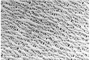 微隙孔结构的锂离子电池隔膜及制备方法