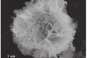 高性能球花状磷掺杂氧化镍锂二氧化碳电池正极催化材料及其制备方法
