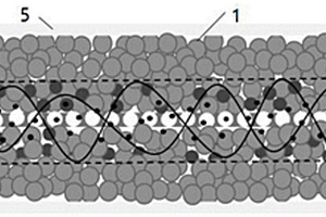 硅负极片及其制备方法和锂离子电池