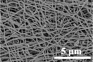 钛酸盐纳米纤维及其制备方法
