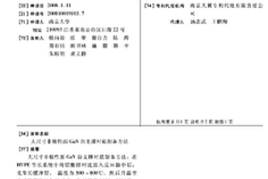 大尺寸非极性面GAN自支撑衬底制备方法