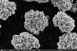 具备卤氧化铋晶核的前驱体材料及其制备方法、正极材料