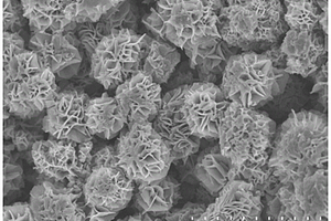 卤素离子协助的硫化铜微米花材料及其制备方法和应用
