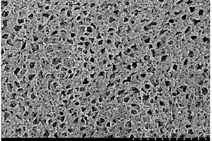 碳材料改性多孔聚合物电解质膜及其制备方法