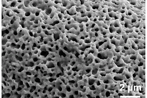 纳米多孔泡沫镍集流体的制备方法和应用