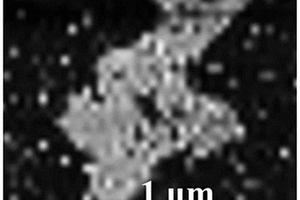 硼化镁纳米片的制备方法及其在Li-S电池隔膜中的应用