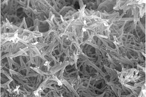 碳包覆正交晶系纳米棒状Nb2O5材料及其制备方法