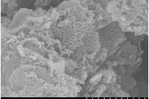 海绵状碳材料及其制备方法和应用
