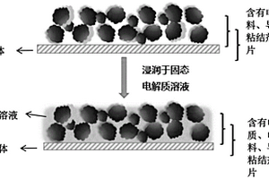 电极极片及其制备方法和应用